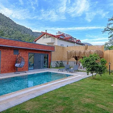 Private Detached With Swimming Pool In Inlice, Villa *