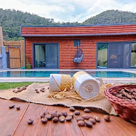 Private Detached With Swimming Pool In Inlice, * Fethiye