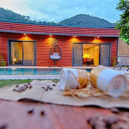 Private Detached With Swimming Pool In Inlice, *