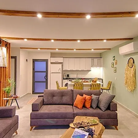 Private Detached With Swimming Pool In Inlice, Willa